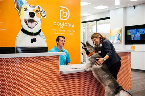 Dogtopia thunderbolt <dfn> Locally owned and operated, Dogtopia offers open-play dog daycare and boarding in our state-of the-art facility with three playrooms and a turfed outdoor area, staffed by highly qualified and trained canine coaches</dfn>